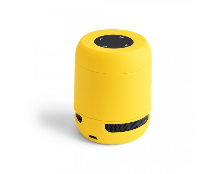Altavoz Braiss