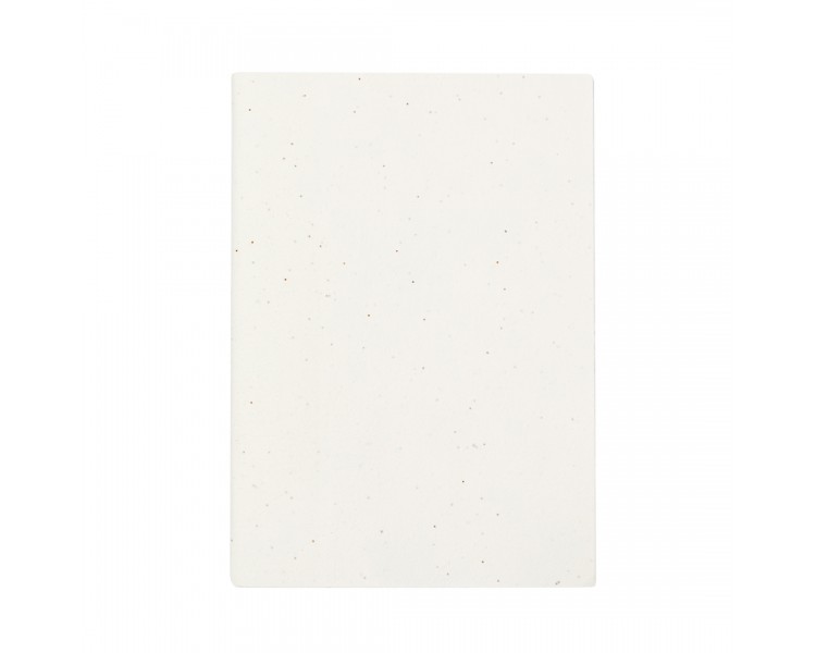 Libreta Semillas Derna