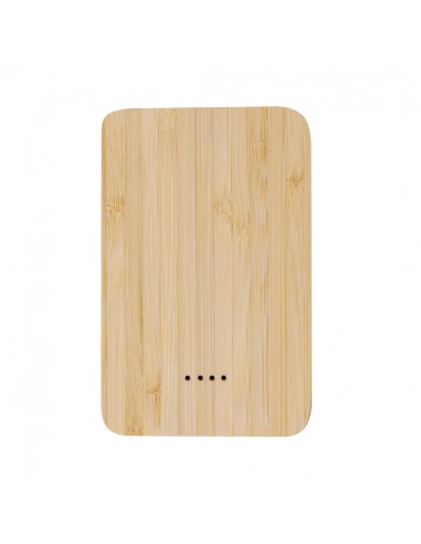 Power Bank Newin