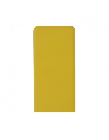 Power Bank Caplan
