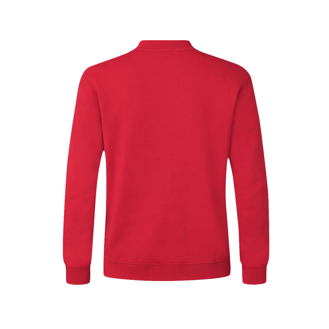 Sudadera Adulto Sendex - Imagen 2