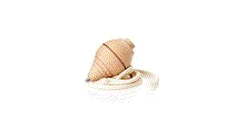 GIF 360