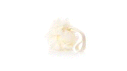 GIF 360