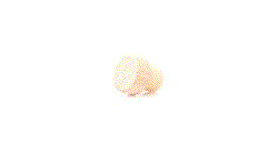 GIF 360