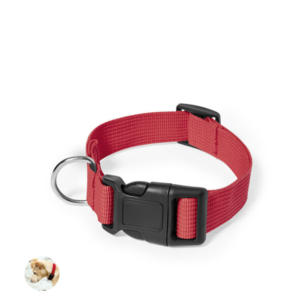 Collar Mastif